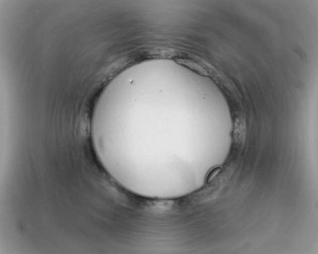 X0000114570474200911091219