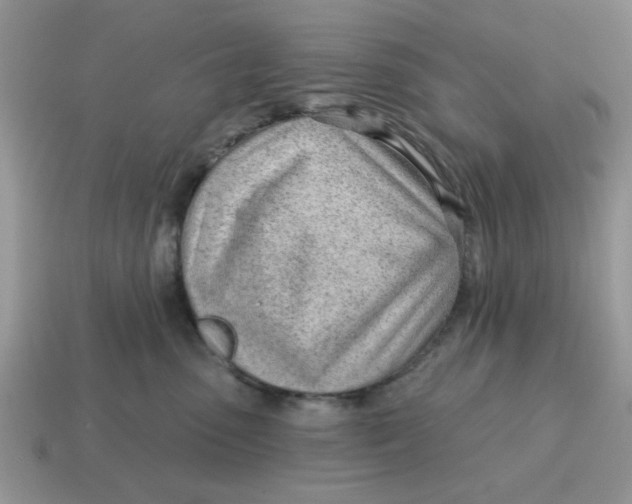 X0000114570475200911091219