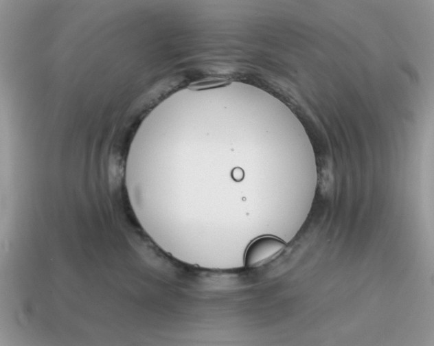 X0000114570476200911091219