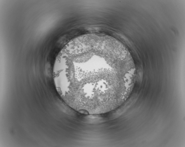 X0000114570477200911091219