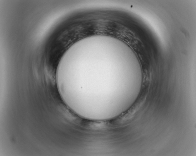 X0000114570479200911091219