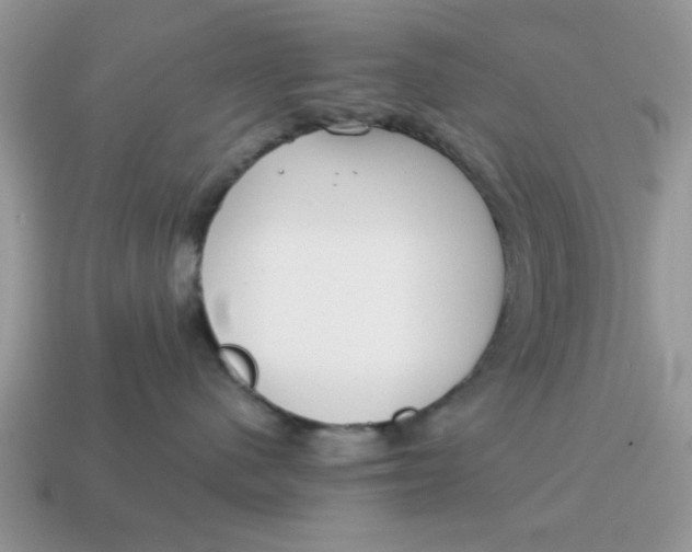 X0000114570480200911091219