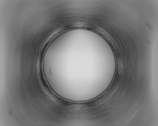 X0000114570482200911091219