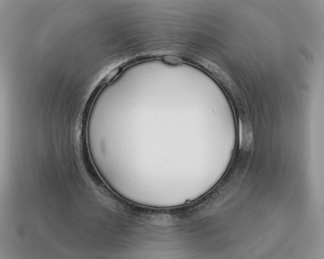 X0000114570483200911091219