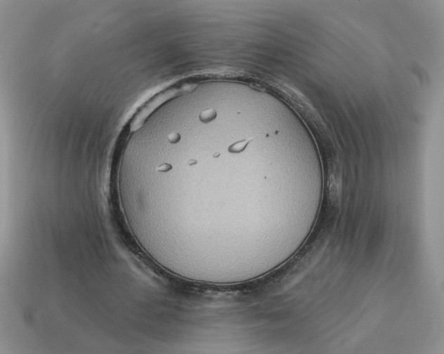 X0000114570484200911091219