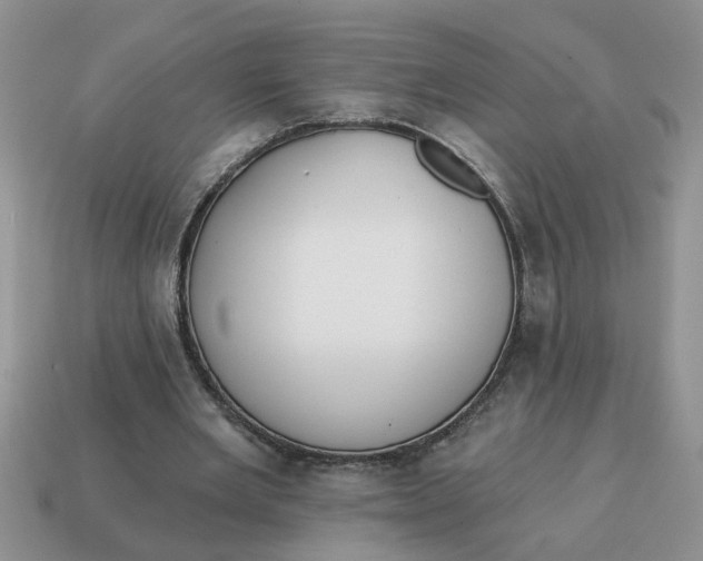 X0000114570485200911091219