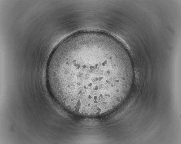 X0000114570487200911091219