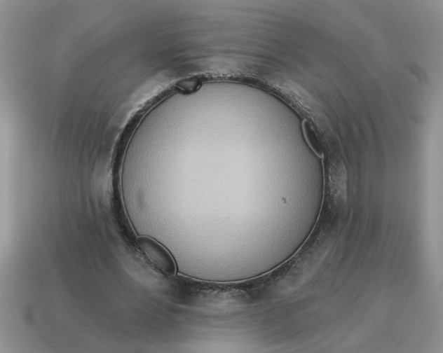 X0000114570488200911091219