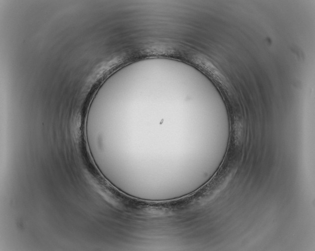 X0000114570490200911091219