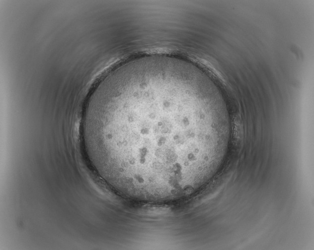 X0000114570491200911091219