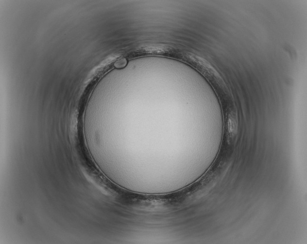 X0000114570492200911091219