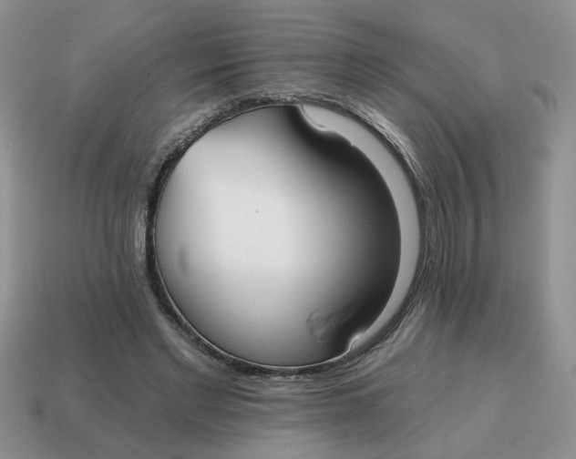 X0000114570493200911091218