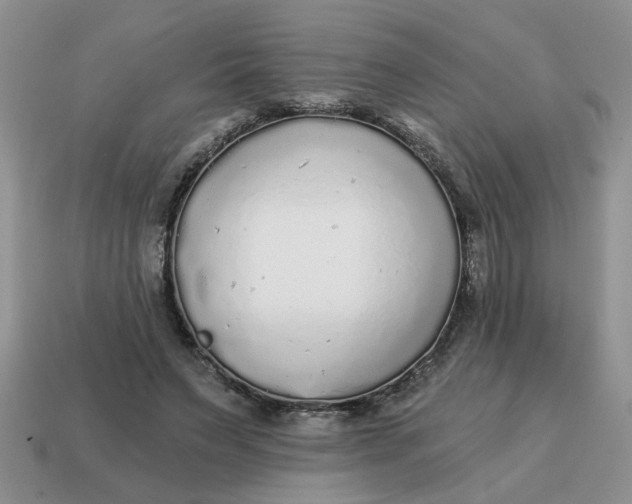 X0000114570495200911091218