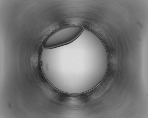 X0000114570496200911091218