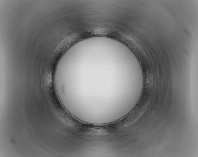 X0000114570502200911091218