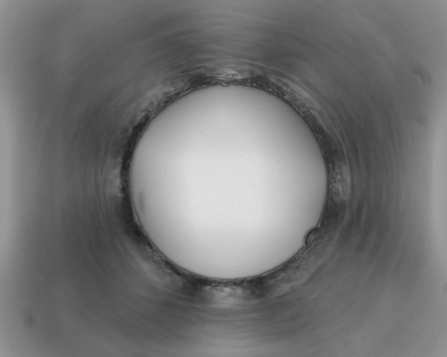 X0000114570512200911091218