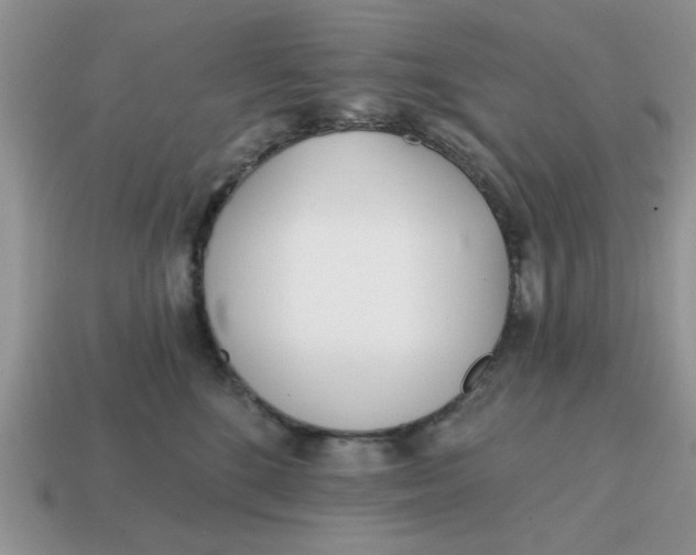 X0000114570520200911091218