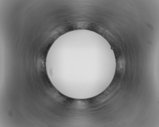 X0000114570522200911091218