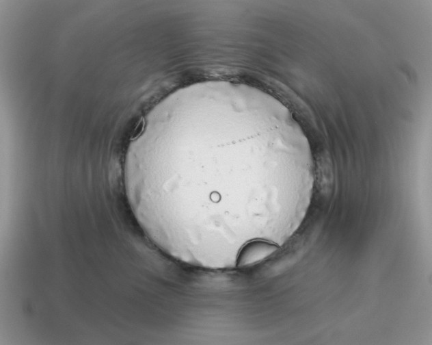 X0000114570523200911091218