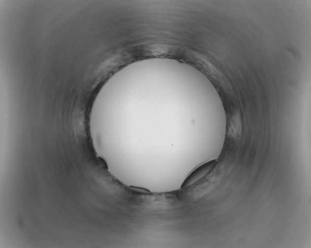 X0000114570524200911091218