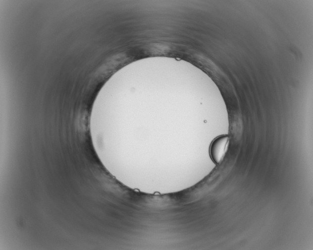 X0000114570525200911091218