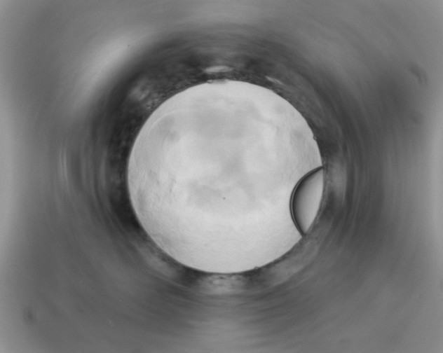 X0000114570526200911091218