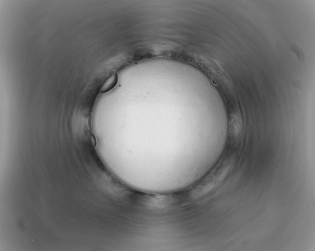 X0000114570527200911091218