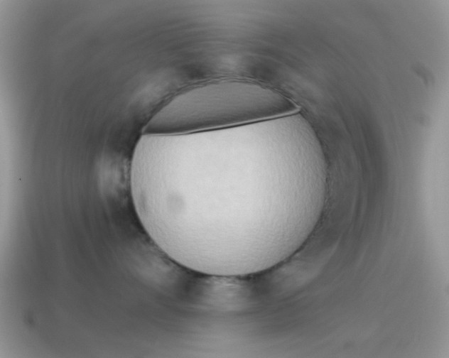 X0000114570528200911091218