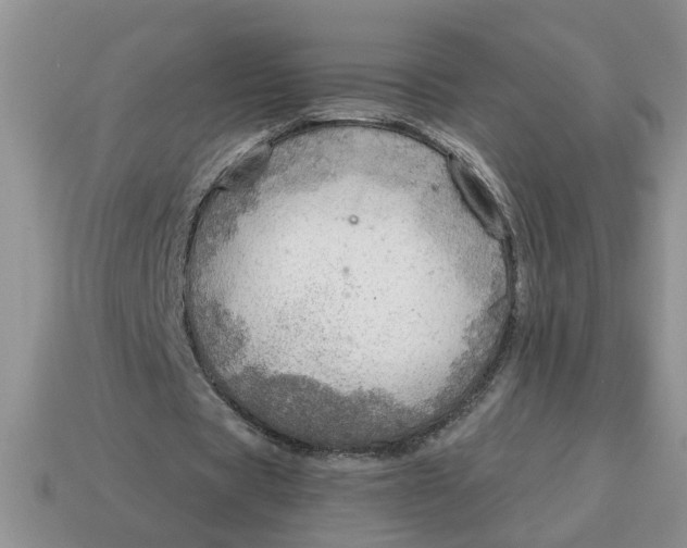 X0000114570529200911091217