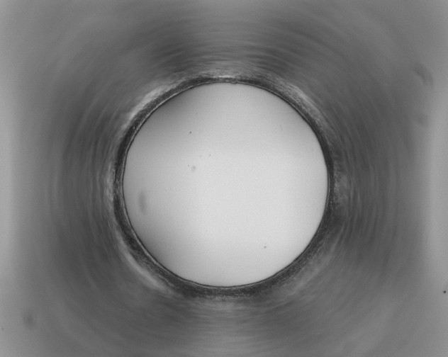 X0000114570530200911091217