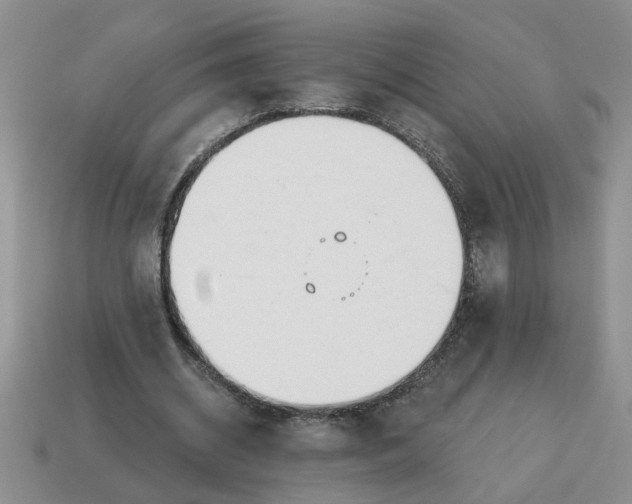 X0000114570534200911091217