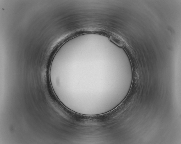 X0000114570535200911091218