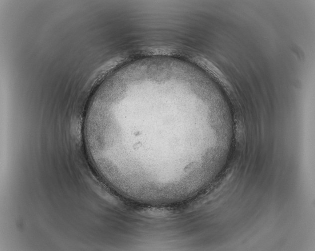 X0000114570537200911091218