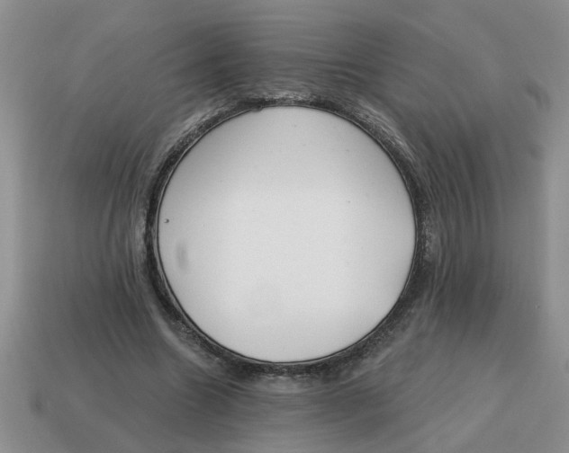 X0000114570538200911091218