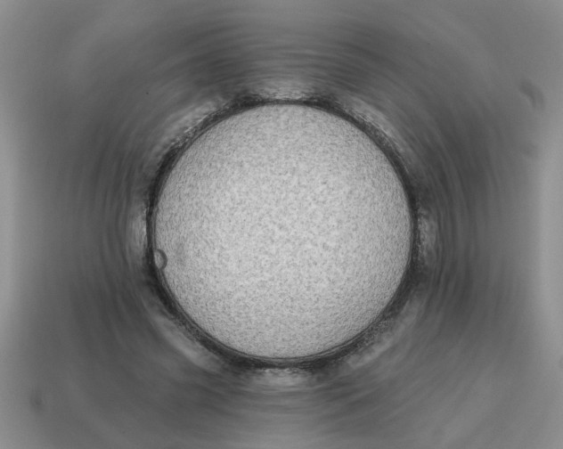 X0000114570541200911091218