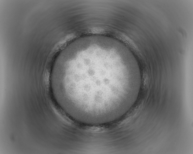 X0000114570542200911091218