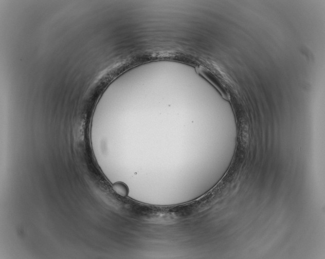 X0000114570543200911091218