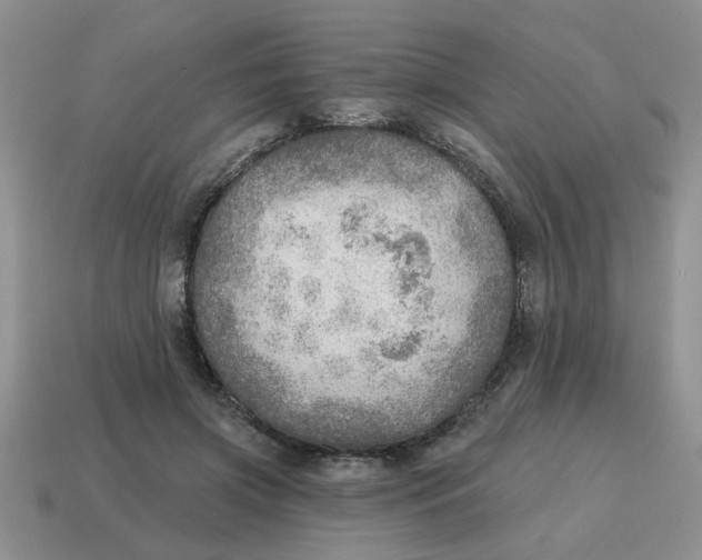 X0000114570549200911091218