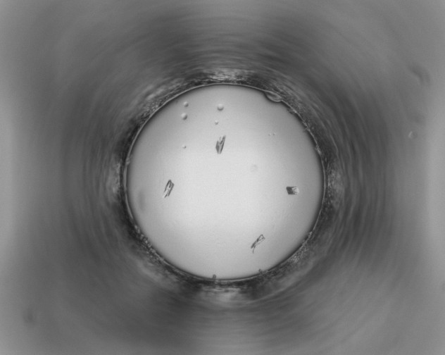 X0000114570554200911091218