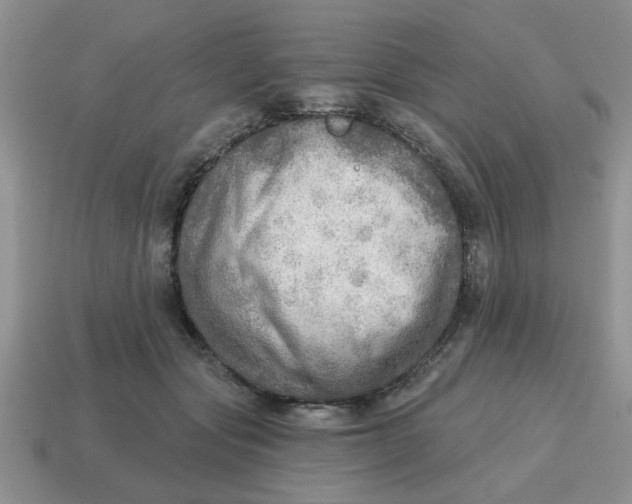 X0000114570557200911091218