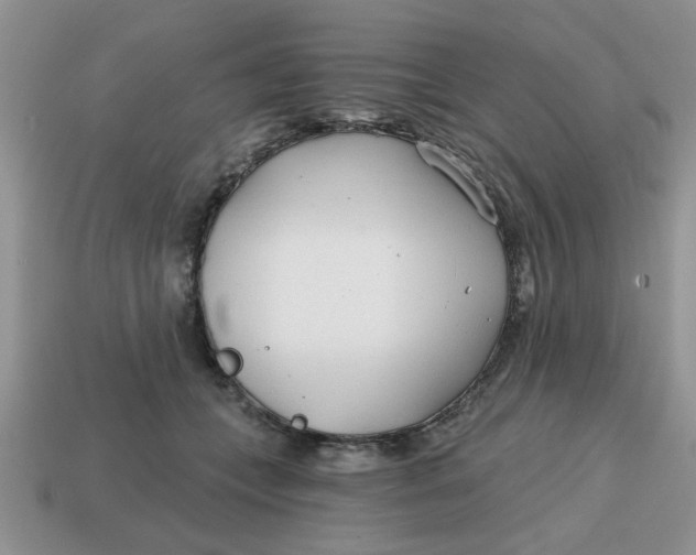 X0000114570559200911091218