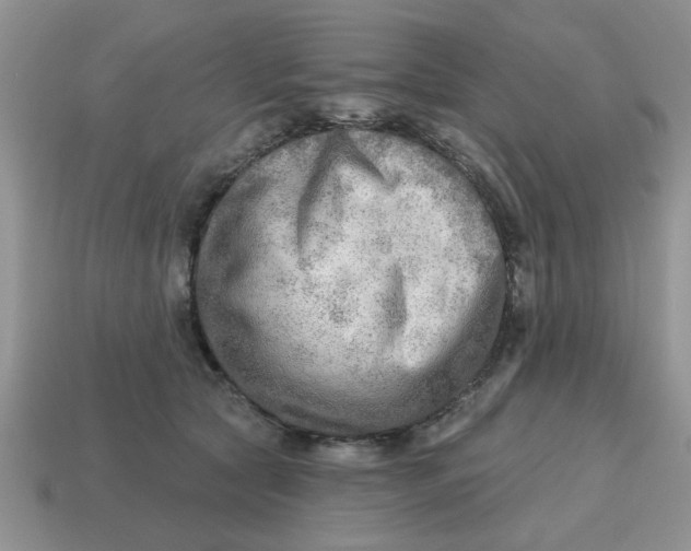 X0000114570561200911091218