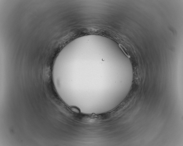 X0000114570563200911091218