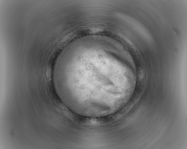 X0000114570565200911091218