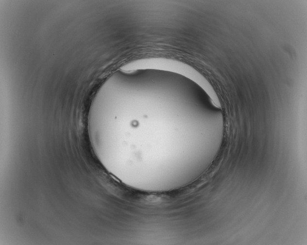 X0000114570566200911091218