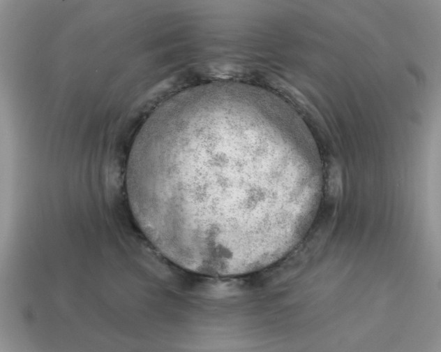 X0000114570569200911091218