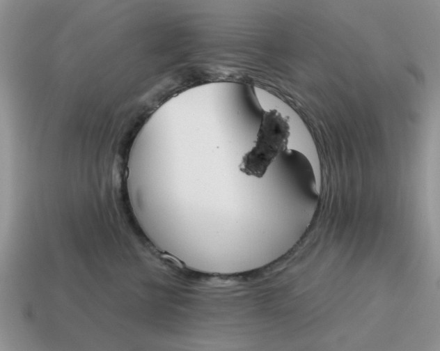 X0000114570570200911091218