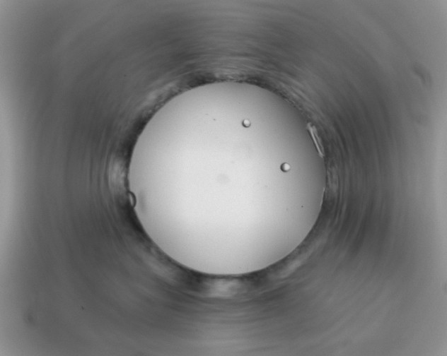 X0000114570575200911091218