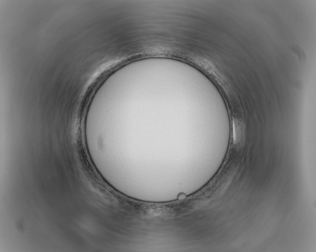 X0000114570579200911091217