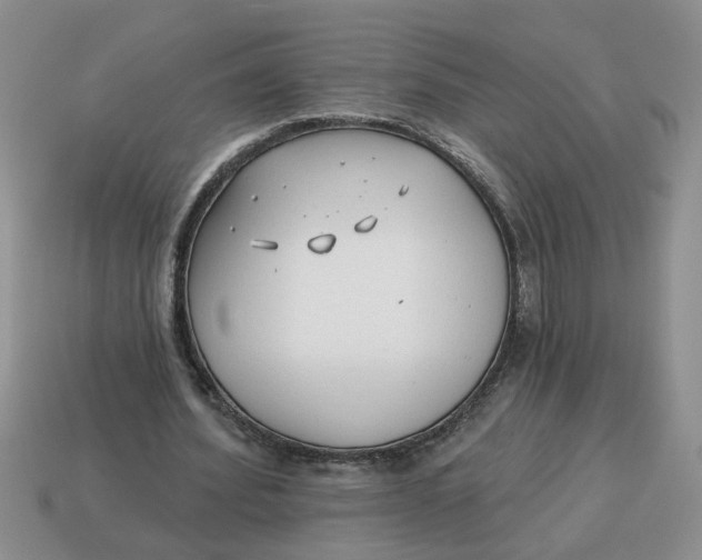 X0000114570580200911091217